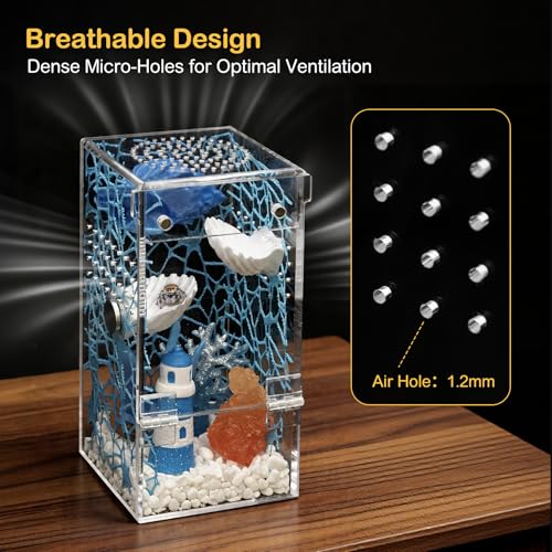 Jumping Spider Enclosure Starter Kit (Blue / Small)