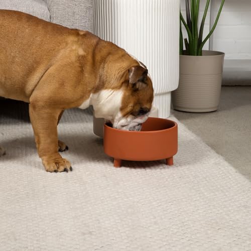Uplift Elevated Ceramic Dog Bowl (Large / Olive)