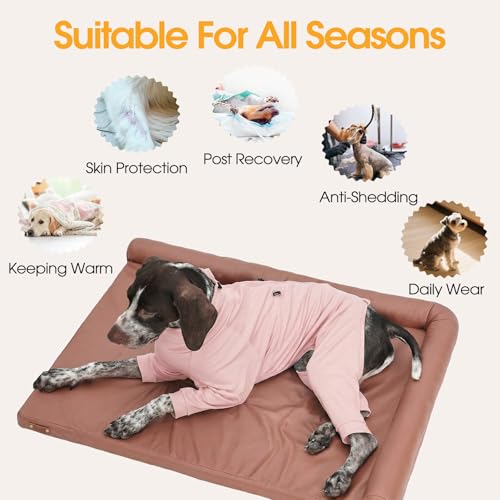 Recovery Suit for Large Dogs (Pink / 2XL)