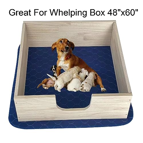 2Pack Dog Pads Washable 53”x65” (2Pack 53”x65”)