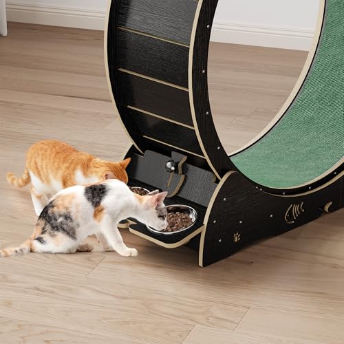 55" Multi Cat Exercise Wheel with 3