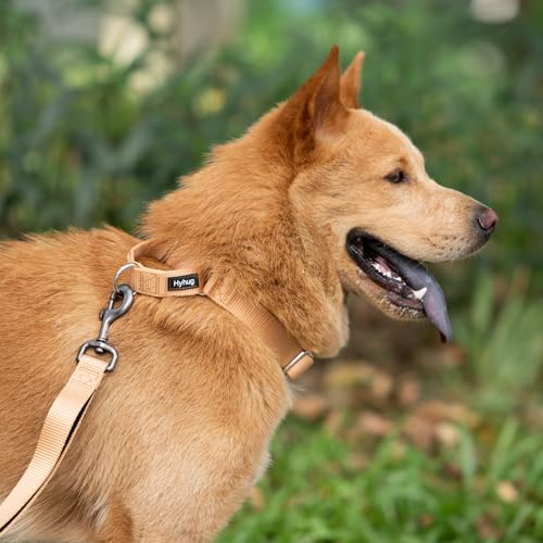 Martingale Dog Collar (Small / Clay)
