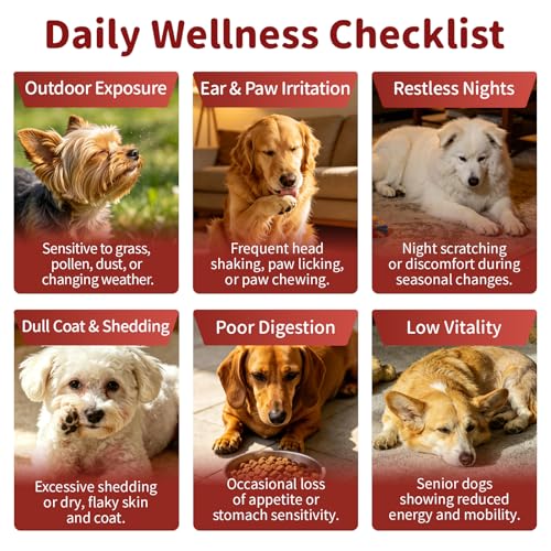 Dog Allergy Chews (90 Count (Pack of 1))