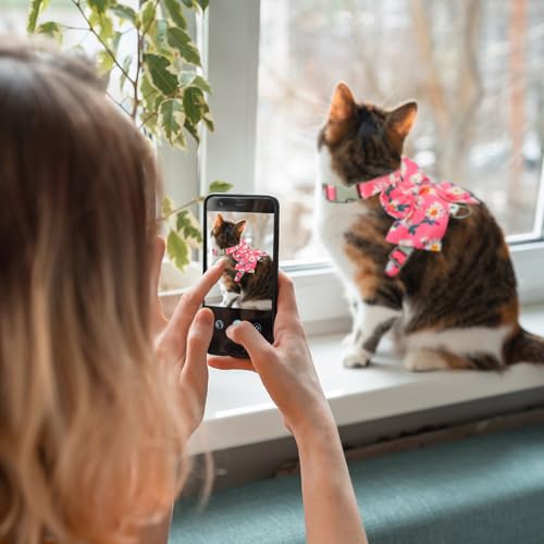 Cat Harness and Leash Set with Bow Knot (Pink Flowers)