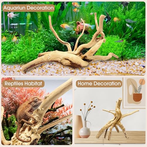 Natural Large Spiderwood Driftwood for Aquarium Decor Rptile Fish Tank Decoration Assort Branch 13 (Spiderwood 13 to 16 Inch (Pack of 1))