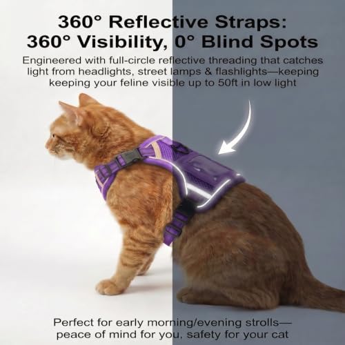Escape Proof Cat Harness and Leash Set (Purple / M)