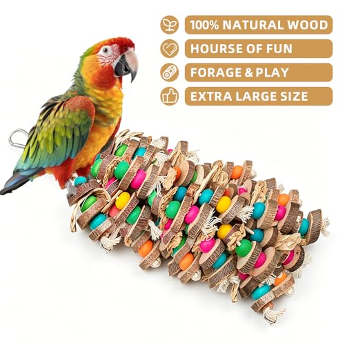 Extra Large Bird Parrot Toys
