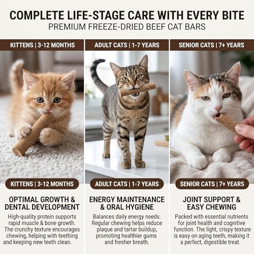 15pcs Freeze Dried Cat Chew Sticks Kitten Beef Treats for Teeth (Pro-17PACK)