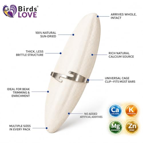 3.5 4″ Cuttlebone for Birds (12 Count (Pack of 1))