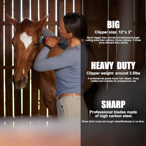 Horse Clippers (HorseClippers)