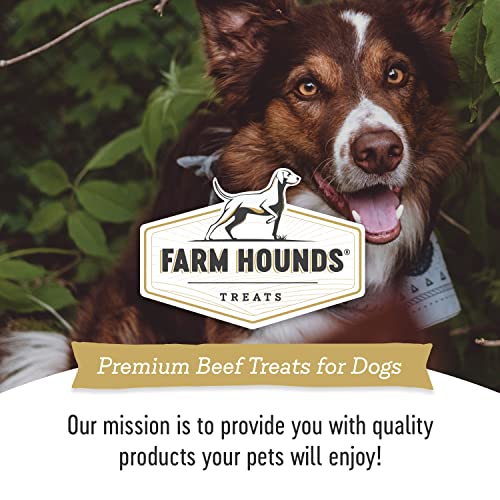 Beef Heart Premium Natural Beef Heart Jerky For Dogs (4 Ounce (Pack of 1))