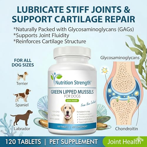Green Lipped Mussels for Dogs