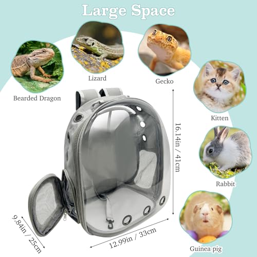 Bearded Dragon Carrier Backpack with Harness and Leash Set Large Reptile Travel Carrier Portable Lizard Backpack Clear Bubble Window Small Animal Carrying Bag for Gecko Kitten Rabbit (Gray)