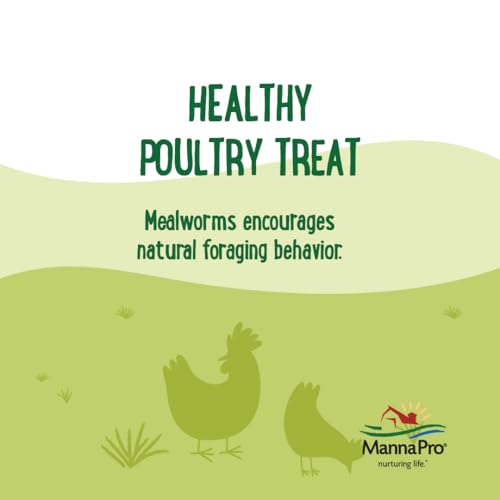 Dried Mealworms for Chickens (5 Pound (Pack of 1))