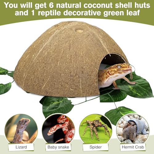 7 Pcs Reptile Hideouts Natural Coconut Shells Hut Leopard Gecko Tank Accessories for Aquarium Fish Hermit Crab Hide Cave Small Snake Tarantulas Lizard Chameleon (6 Pack Smooth)
