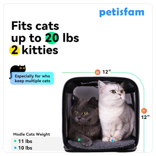 Soft Pet Carrier for Large and Medium Cats (Blue)