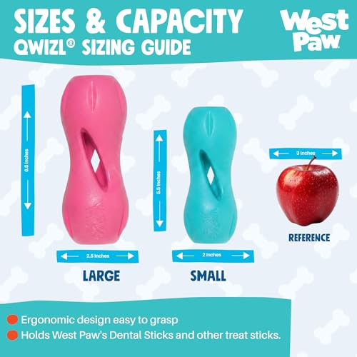 Qwizl Durable Zogoflex Dog Puzzle Toy for Mental Stimulation (Small / Teal)