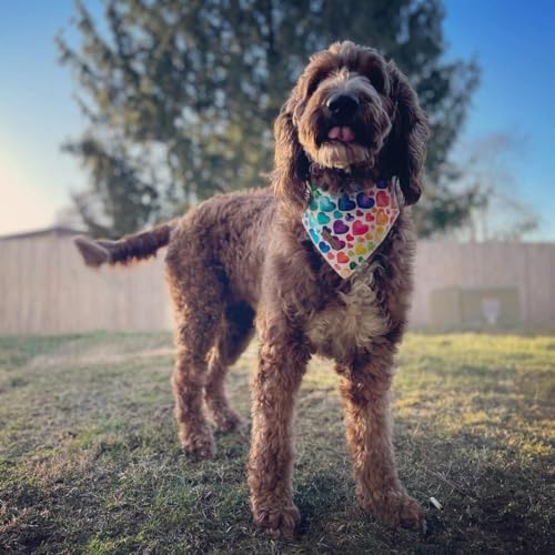 Valentine's Dog Bandana (Love / Small (Pack of 1))