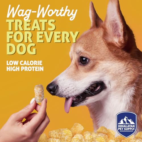 Barkeetos Crunchy Cheesy Dog Snacks (3 Ounce (Pack of 4))