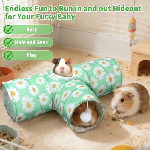 Guinea Pig Tunnel Hideout 3 (Daisy)