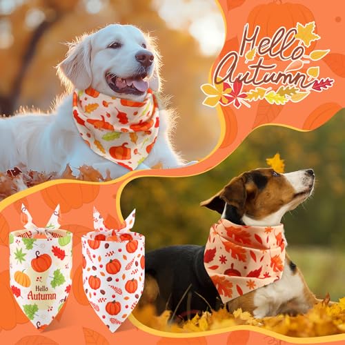 50 Pcs Fall Dog Bandanas Bulk (Fall Pumpkins / 25.6 x 17.7 x 17.7")