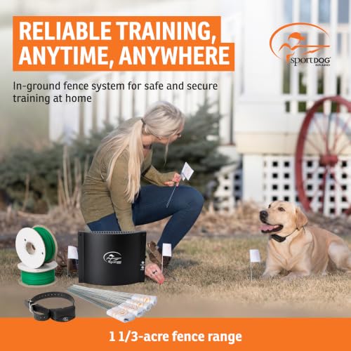 Rechargeable In (1 Dog System)