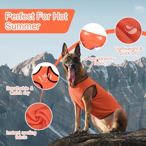 2 Pack Cooling Shirts for Dogs (XL(chest:15.5-18.5") / Black&Orange)