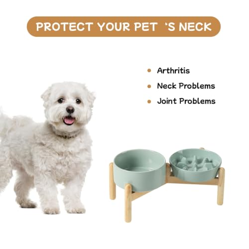 Elevated Slow Feeder Dog Bowls (Light Green)
