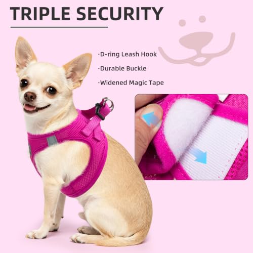 Dog Harness Collar and Leash Set No Pull for Small Medium Sized (Solid DeepPink / XS (CHEST 13"-14.5"))