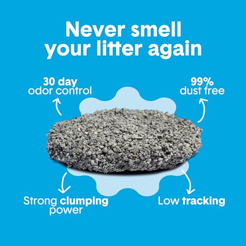 Boxie Premium Unscented Clumping Cat Litter 30+ Day Odor Control 28 lb (28 lb)