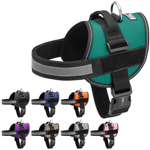 Dog Harness Reflective No (Teal / Girth 27" to 34")