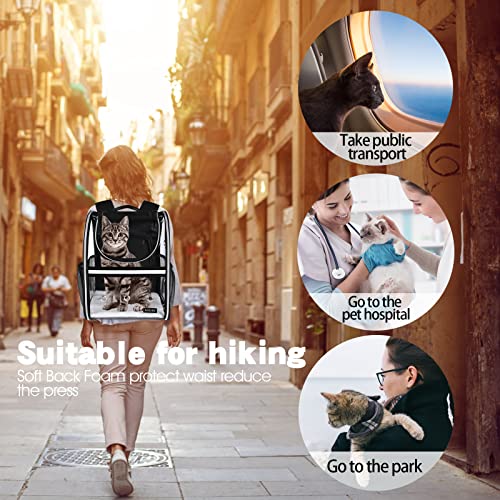Expandable Pet Carrier Backpack (Transparent Black / 12.0"L x 10.0"W x 15.0"H)