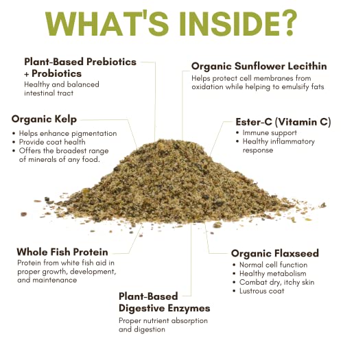 Horse Supplement for Total Body Health