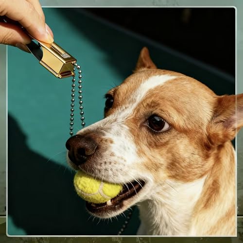 3 Pieces Brass Dog Training Clicker with Chain for Dogs Cats (Gold)