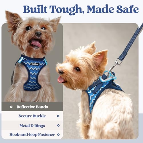 Dog Harness Medium Sized and Leash Set (Blue Zigzag / L (chest: 18.2 - 20.5"))