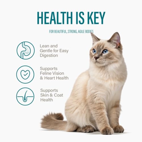 Wet Cat Food Variety Pack