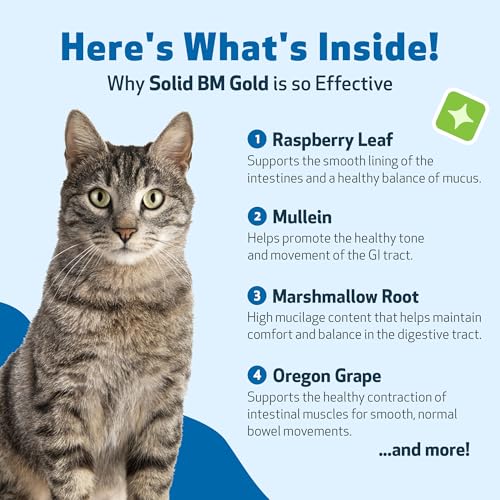 Solid BM Gold for Cats