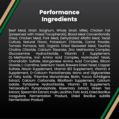 Performance Dry Dog Food (40 Pound (Pack of 1))