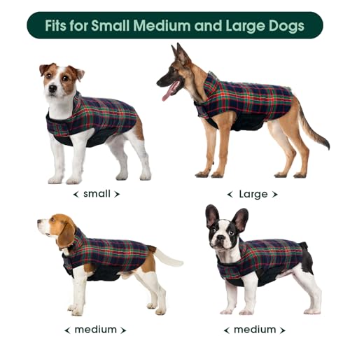 Waterproof Dog Coat (Royal Blue / 3X-Large (Pack of 1))