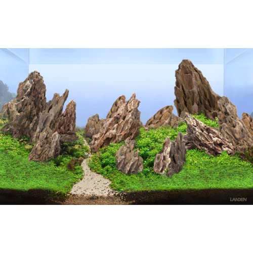 Dragon Ohko Stone 16lb Large Aquarium Rocks for Fish Tank Decor (01 Dragon(Ohko) Stone(2-8inch,16lbs))