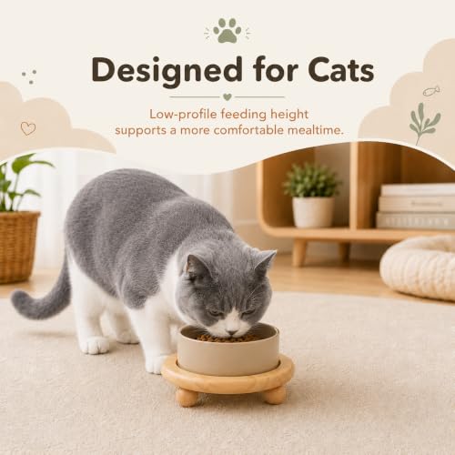 Raised Cat Bowl 6.1” Elevated Ceramic Cat Food and Water Bowl (Greige)