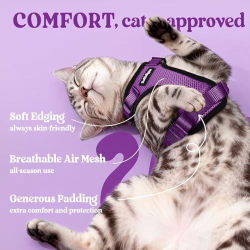 Cat Harness and Leash Set (S / Purple)