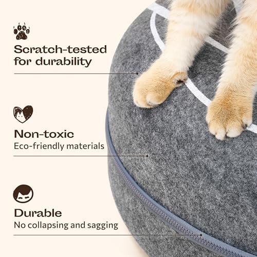 Peekaboo Cat Cave Donut (Dark Gray)