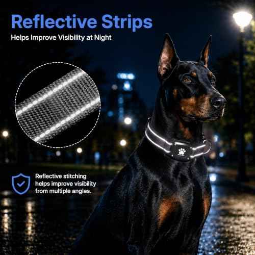 GPS Dog Collar with Tracker (Black / L(16.5''-23.5''))