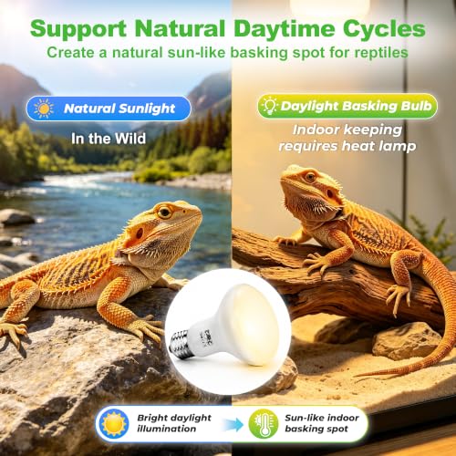 Reptile Heat Lamp Bulbs 75W (75)