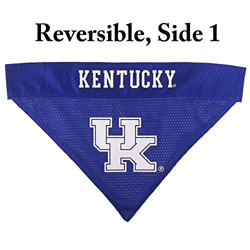 Collegiate Pet Accessories (Small/Medium / Kentucky Wildcats)