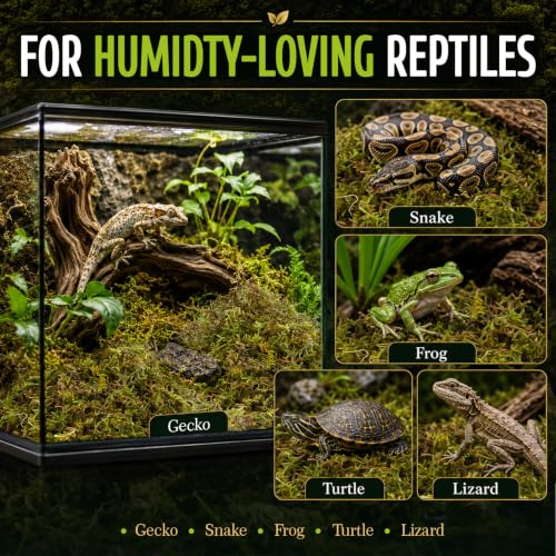 Sphagnum Moss for Reptiles (5 Ounces / Green)