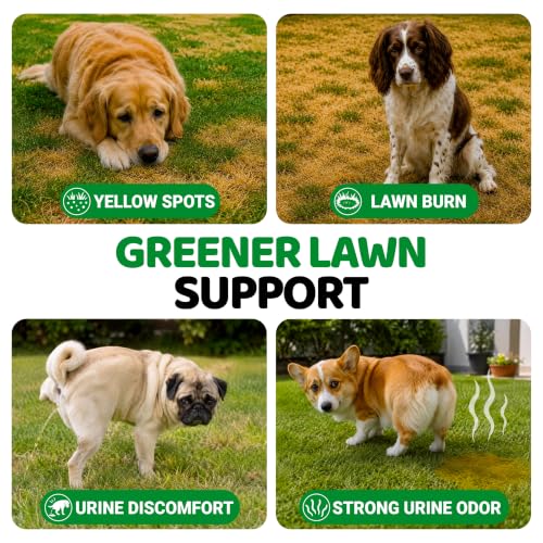 Dog Urine Neutralizer for Lawn (Green Lawn + Probiotic / 170 Chews)