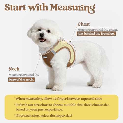 Dog Harness Small Sized and Leash Set (Brown & Beige / Xxs (chest: 12.4 - 14.2"))