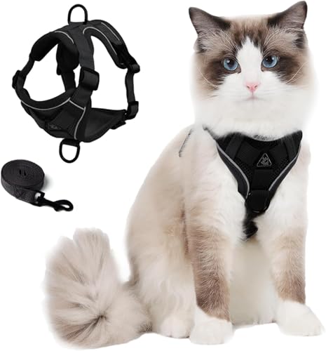 Cat Harness and Leash Set (Black / S)